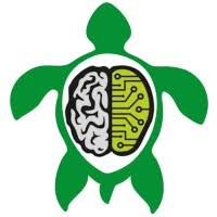 turtle with brain inside